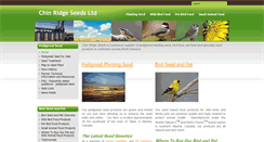 Desktop Screenshot of chinridge.com